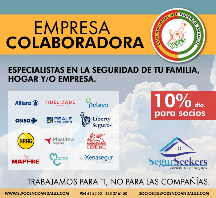 EMPRESA COLABORADORA SEGURSEEKERS