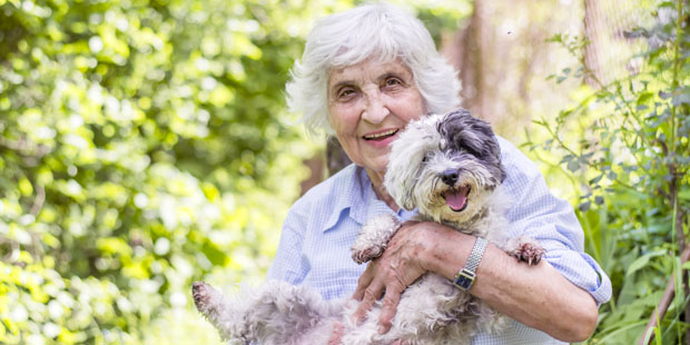 abuela mascota art