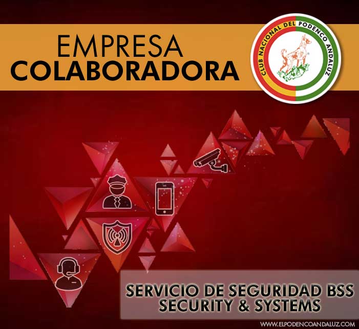 BSS Security & Systems