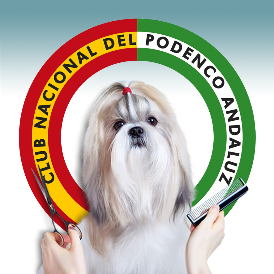 imagen peluqueria canina y felina