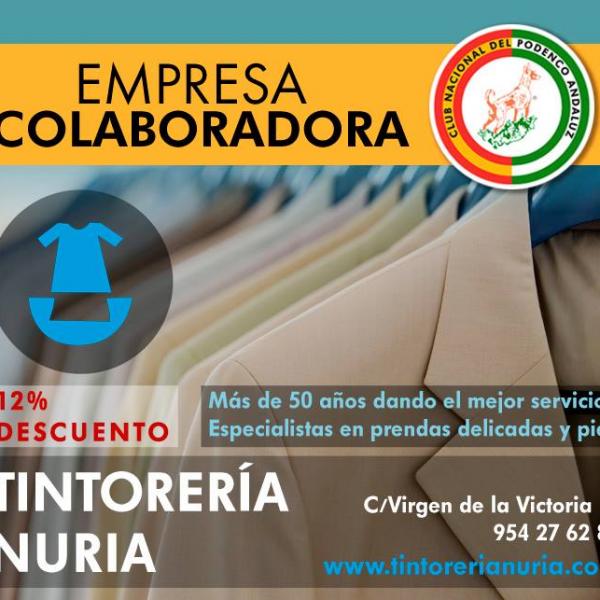 Tintorería Nuria: 12% Dto.