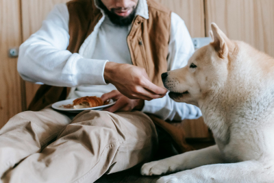 Alimentación de nuestros cachorros